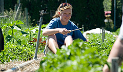 Photograph of a Youth Homes Kid gardening at the Youth Farm