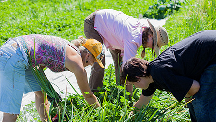 Youth Farm - working in the garden